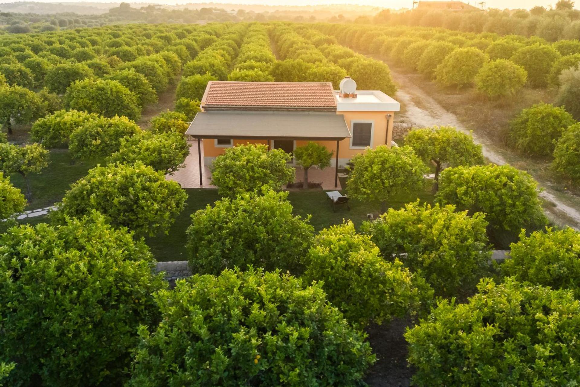 Fiore Di Vendicari B&B - Sicilian Charme, Lemon Grove And Sea 诺托 外观 照片